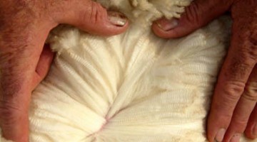 什么是羊毛？羊毛有什么优点和缺点？